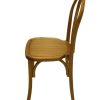 Elm Bentwood Wooden Chair