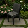 Dark Brown Rattan Chair